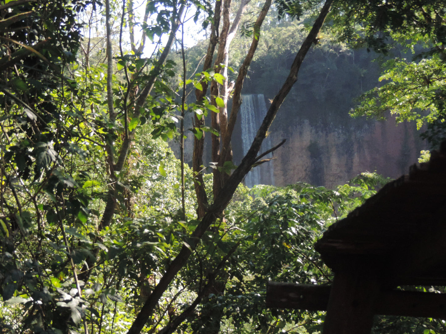 VAMOS DE NATUREZA ITIRAPINA