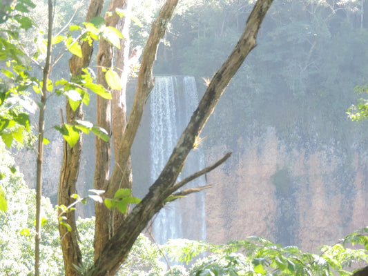 VAMOS DE NATUREZA ITIRAPINA